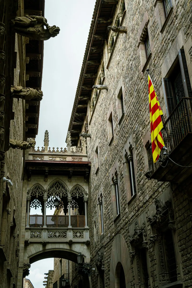 Gothic Quarter (Barri Gòtic)