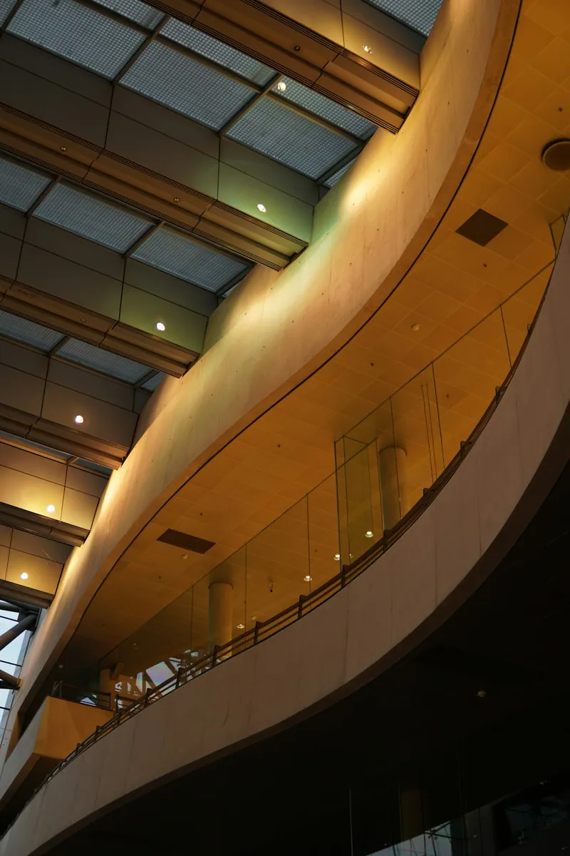 Black Diamond library