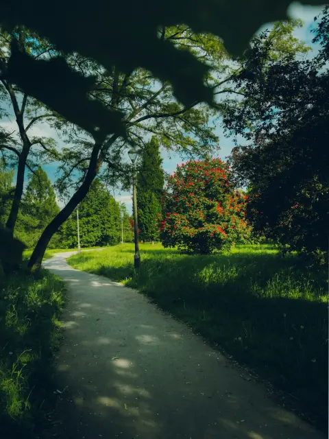 Planty Park Ring