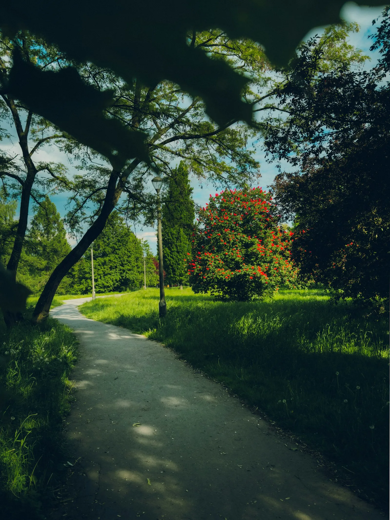 Planty-Park-Ring
