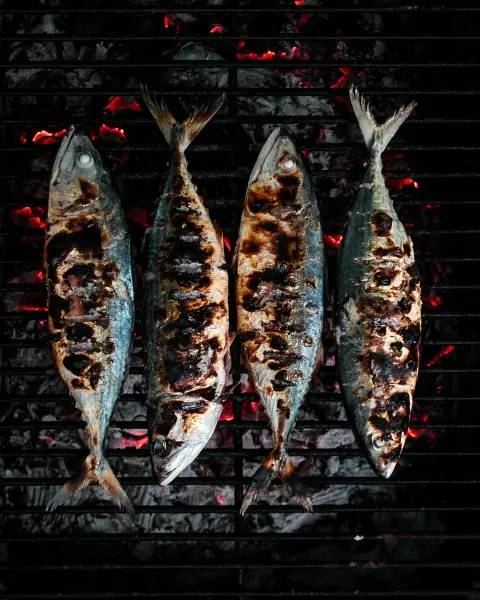 Dinner — Bairro Alto